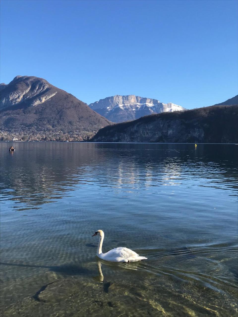 La Maison Du Port, Une Exclusivite Lla Selections By Location Lac Annecy Saint-Jorioz Esterno foto